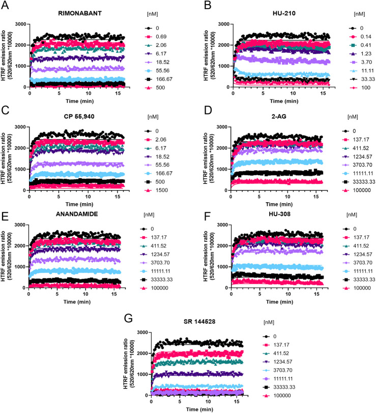 Competition kinetic binding curves of cannabinoid ligands at 37°C competing with D77 for CB1R. Experiments were conducted using a fixed concentration of the tracer molecule D77 (600 nM) and increasing concentrations of unlabeled ligands (A) rimonabant, (B) HU-210, (C) CP 55,940, (D) 2-AG, (E) anandamide (AEA), (F) HU-308, and (G) SR 144528. Data were globally fitted to the competition association model using GraphPad Prism 9.2 to simultaneously calculate k on and k off values of the unlabeled competitors. Graphs show competition association curves from a single experiment representative of ≥3 experiments conducted independently.