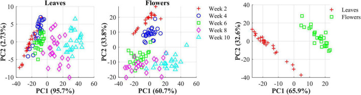 (Left) Scatter plots in the space spanned by the first two principal components (PCs) for hemp sample at five growth stages (2–10 weeks after flower initiation). (Right) Scatter plots of the first two PCs for hemp flowers and leaves harvested week 4 after flower initiation. The percentage value in parentheses indicates the variance portion explained by the corresponding PC.