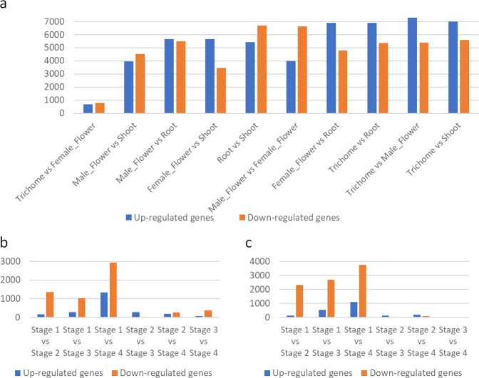 Number of differentially expressed genes amongst various tissue type (a) and amongst various developmental stages of flower development in the tissues of female flower (b) and trichomes (c).