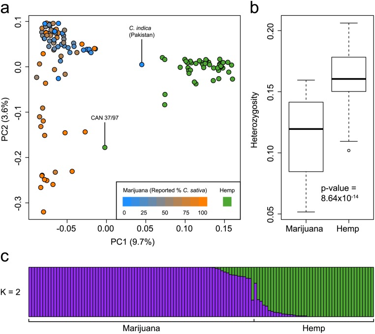 Genetic structure of marijuana and hemp.(a) PCA of 43 hemp and 81 marijuana samples using 14,031 SNPs. Hemp samples are colored green and marijuana samples are colored according to their reported C. sativa ancestry. The proportion of the variance explained by each PC is shown in parentheses along each axis. The two samples labeled with their IDs are discussed in the text. (b) Boxplots showing significantly lower heterozygosity in marijuana than in hemp. (c) Population structure of hemp and marijuana estimated using the fastSTRUCTURE admixture model at K = 2. Each sample is represented by a thin vertical line, which is partitioned into two colored segments that represent the sample’s estimated membership in each of the two inferred clusters. Hemp and marijuana samples are labeled below the plot.