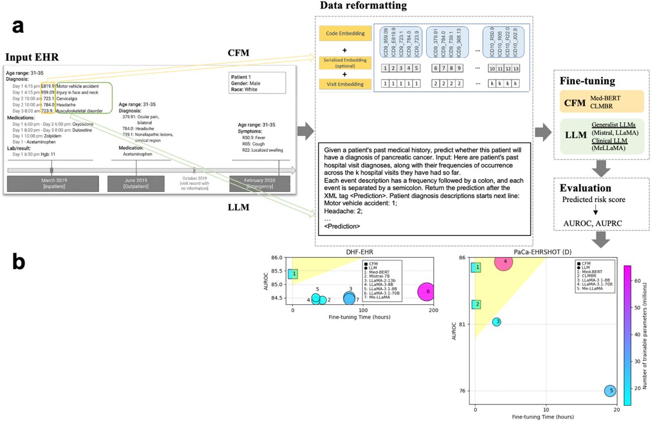 Project overview. (a) Methodology framework. (b) Main results.The patient information shown in this figure is not real patient data but just for illustration purposes.