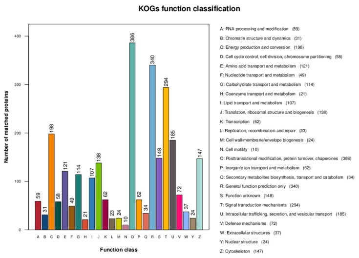 Histogram of all COG annotation results. The horizontal coordinate is the functional classification of the annotation, while the vertical coordinate is the number of proteins annotated to the corresponding function.