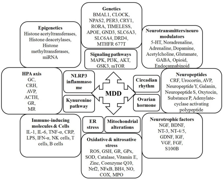 The interactive matrix in stress and MDD.