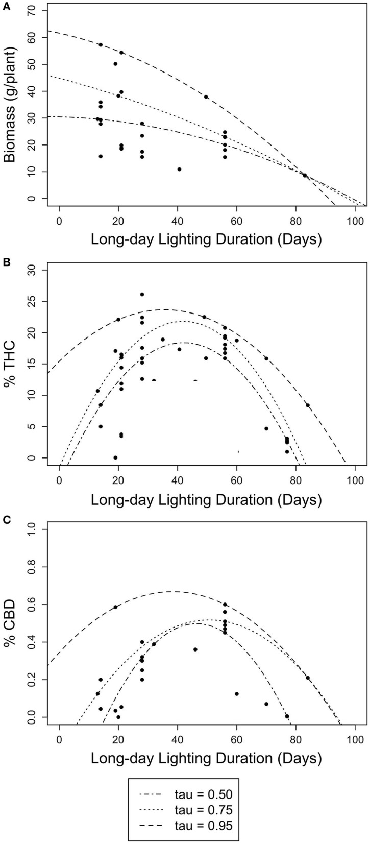 Scatter plots of non-linear quantile regression results for long day length durations (days) with floral biomass (g/plant) and cannabinoid concentration (% THC and % CBD). Lines represent 50th (dotted-dashed), 75th (dotted), and 95th (dashed) quantile regressions. (A) The relationship between long day length duration and floral biomass (g/plant). (B) The relationship between long day length duration and THC concentration (% THC). (C) The relationship between long day length duration and CBD concentration (% CBD).