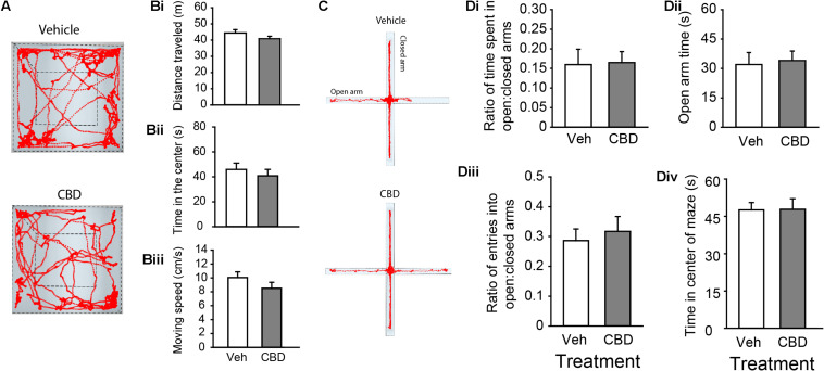 Adolescent CBD exposure does not impact locomotor or anxiety-related behaviors. (A) Representative activity traces in the open field of subjects administered vehicle (top) and CBD (bottom). Summary bar charts indicating that there were no difference in distance traveled between vehicle (white; 44.40 ± 2.04 m) and CBD (gray; 40.84 ± 1.53 m) treated groups (Bi). There was also no difference in time spent in the center quadrant of the open field chamber between the vehicle (45.91 ± 5.10 s) and CBD (40.81 ± 5.10 s) treated groups (Bii). There was no difference in the mean moving speed between vehicle (10.05 ± 0.82 cm/s) and CBD (8.51 ± 0.86) treated groups (Biii). (C) Representative activity traces in the EPM of subjects administered vehicle (top) and CBD (bottom). Summary bar charts indicating that there was no difference in the ratio of time spent in the open arms relative to the closed arms between treatment groups (Di; vehicle: 0.16 ± 0.04; CBD: 0.17 ± 0.03). There was no difference in the time spent in the open arms of the EPM (Dii; vehicle: 32.10 ± 6.09 s; CBD: 33.9 ± 4.86 s). There was no difference in the ratio of entries into the open arms relative to the closed arms (Diii; vehicle: 0.29 ± 0.04; CBD: 0.32 ± 0.05), nor was there a difference in the time spent in the center square of the EPM (Div; vehicle: 47.63 ± 2.95 s; CBD: 47.86 ± 4.27 s).