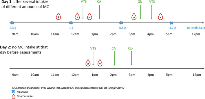 Timeline displays two days of assessments and cannabis intake. Day 1 includes MC intake at 9 am, 11 am, and 5 pm totaling 8.8 g, with blood samples and assessments occurring throughout the day. Day 2 has no MC intake, but features blood samples and assessments from 1 pm to 3 pm. Assessments include VTS, CA, and Qb.