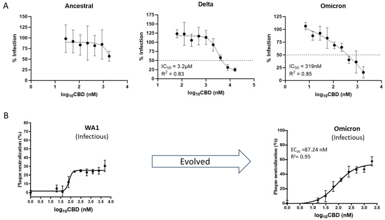 Shictin (CBD) inhibition assays (IC50) against SARS-CoV-2 variants. (A) Inhibitions against pseudotyped viruses [Ancestral (Wuhan Hu-1), Delta (B.1.617.2), and Omicron (BA.1)]. (B) Inhibitions against infectious viruses [Ancestral (WA1) and Omicron (B.1.1.529)].