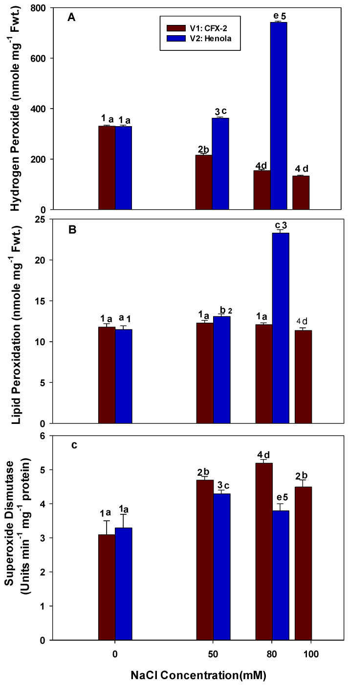The effects of NaCl on the IH leaf H2O2 concentration (Panel (A)), lipid peroxidation (Panel (B)), and SOD-specific activity (Panel (C)). Vertical bars represent SE. Different lowercase letters indicates significant differences among the varieties, and different numerals represents significant treatment differences. These mean values (n = 15) are separated using LSD at p < 0.05. Data at 100 mM NaCl are given for V1 only, as plants did not survive in V2 at this NaCl concentration. Interactions were non-significant.