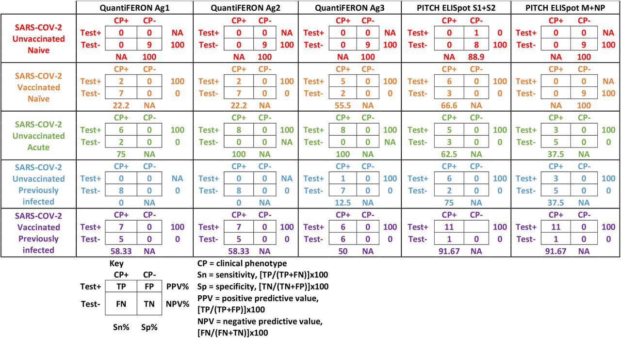 Sensitivity, specificity, positive predictive values and negative predictive vales for QuantiFERON and ELISpot assays. TP, true positive; FP, false positive; TN, true negative; FN, false negative.
