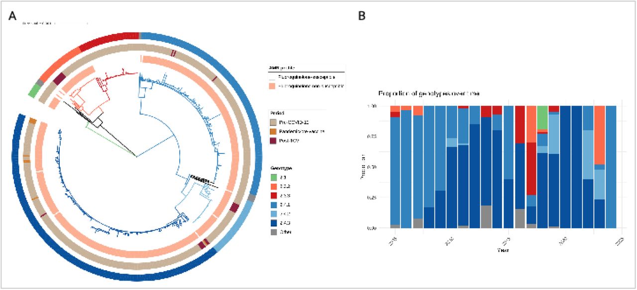 Phylogenetic structure and temporal distribution of Salmonella Paratyphi A in Nepal(A) Maximum likelihood phylogeny of 538 S. Paratyphi A genomes from Nepal, including 114 isolates generated in this study and 424 previously published genomes. Branches and outer ring are colored by genotype according to the Paratype scheme. Inner ring is colored according to the antimicrobial resistance profile. The scale bar indicates nucleotide substitutions per site. (B) Temporal distribution of S. Paratyphi A genotypes in Nepal. Stacked bar plots show the proportion of genotypes by year.