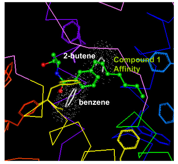 Comparison of the best position of the benzene and cis-2-butene moieties from MCSS with the Affinity/SA model of compound 1. Aromatic residues at or around the ligand binding pocket are represented including F3.25(189) and F7.35(379) identified as potentially important residues for aromatic stacking with compound 1.
