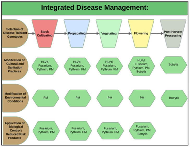 Integrated disease management strategies (left panel, in brown) are developed according to the crop development stage (top panel). The hexagons (in green) illustrate the specific diseases being targeted, which are discussed in more detail below. HLVd = hop latent viroid; PM = powdery mildew; Botrytis cinerea = bud rot.