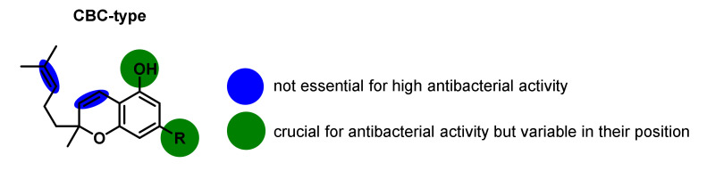 Illustration of the structure-activity relationships of CBC-type cannabinoids on the antibacterial activity.