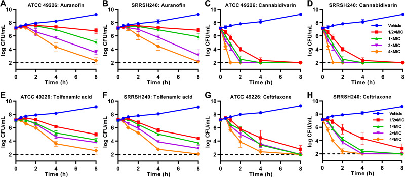 Time-kill assays for auranofin, cannabidivarin, and tolfenamic acid against Neisseria gonorrhoeae. Reference strain ATCC 49226 (A, C, E, G) and FC428-associatedd strain SRRSH240 (B, D, F, H) were exposed to auranofin (A, B), cannabidivarin (C, D), tolfenamic acid (E, F), or ceftriaxone (G, H) at 0.5 × 1×, 2×, or 4× the MIC or the vehicle control (GC broth). Survival curves represent the mean and standard deviation of three biological independent repeats. Auranofin 1 × MIC: 0.5 mg/L; cannabidivarin 1 × MIC: 8 mg/L; tolfenamic acid 1 × MIC: 8 mg/L; ceftriaxone 1 × MIC: 0.008 mg/L for ATCC 49226, 1 mg/L for SRRSH240.