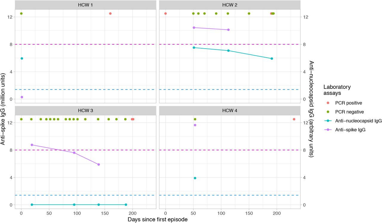 Antibody trajectories and PCR results for four seropositive individuals with subsequent positive PCR results.Three HCWs became PCR-positive having been anti-spike IgG seropositive (two also positive for anti-nucleocapsid IgG), and one having been anti-nucleocapsid IgG positive alone. The x axis shows time since the first episode, this is defined as date of first positive PCR, onset of symptoms if symptomatic and no PCR performed, or first attendance at clinic if asymptomatic and no PCR performed during presumed index infection. Antibody trajectories are shown by lines with circular points (blue = anti-nucleocapsid IgG, lilac = anti-spike IgG), PCR results are shown in green (negative) and red (positive). Assay thresholds are shown by dotted lines; anti-spike IgG (positive ≥8 million (lilac dotted line)) assays and anti-nucleocapsid IgG (positive ≥1.4 (blue dotted line).