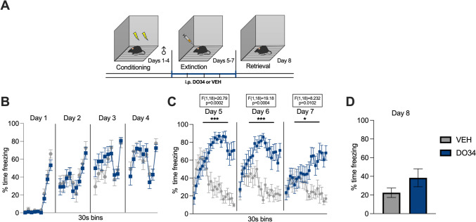 Pharmacological inhibition of DAGL during extinction training impairs within-session learning of extinction in male mice. (A) Schematic diagram of the experimental paradigm. (B) Percentage of time spent freezing during the acquisition of contextual fear. (C) Percentage of time spent freezing during extinction of contextual fear when DO34 (50 mg/kg) was injected IP 2 h before each extinction training session. (D) Percentage of time spent freezing during retrieval test. All values are presented as mean ± SEM (n= 10 male mice per condition)
