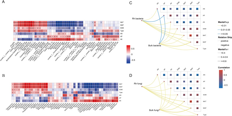 Heatmap and correlation network diagrams depicting microbial relationships. Panel A shows correlations for Rhizosphere bacteria, and Panel B for fungi. Colors range from blue to red, indicating negative to positive correlations. Panel C provides a network representation, with edges indicating relationship type and significance measured by Mantel's p-value. Legend shows correlation strength and relationship direction.