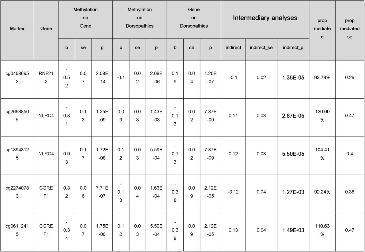 Main Results of Intermediary analyses. b is the effect size, se is the standard error of effect size, and p is the P-value. prop_mediated represents the proportion of indirect effect in the total effect.