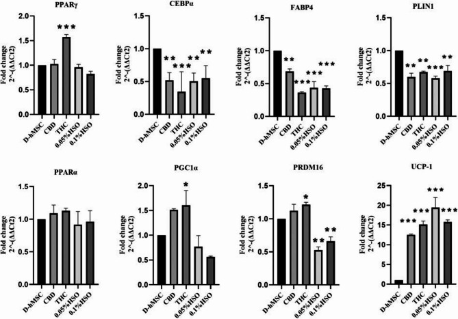 Gene expression. Adipogenic gene (PPARy, CEBPa, FABP4, and PLIN1) and brown adipose gene (PPARa, PGC1a, PRDM16, and UCP1) mRNA levels were measured using quantitative RT-PCR after 14 days. First 72h, cells were cultured in adipose differentiation media; then, 72h of culturing with treatments (CBD, THC, 0.05% HSO, or 0.1% HSO), and finally, maintenance media until day 14th. The biological experiments data presented as mean and standard deviation (SD) of quadruplicate technical replicates (n=4) were used to represent all data (mean ± SD), are shown; ANOVA as *p ≤0.05, ** P≤0.01, *** P ≤0.001