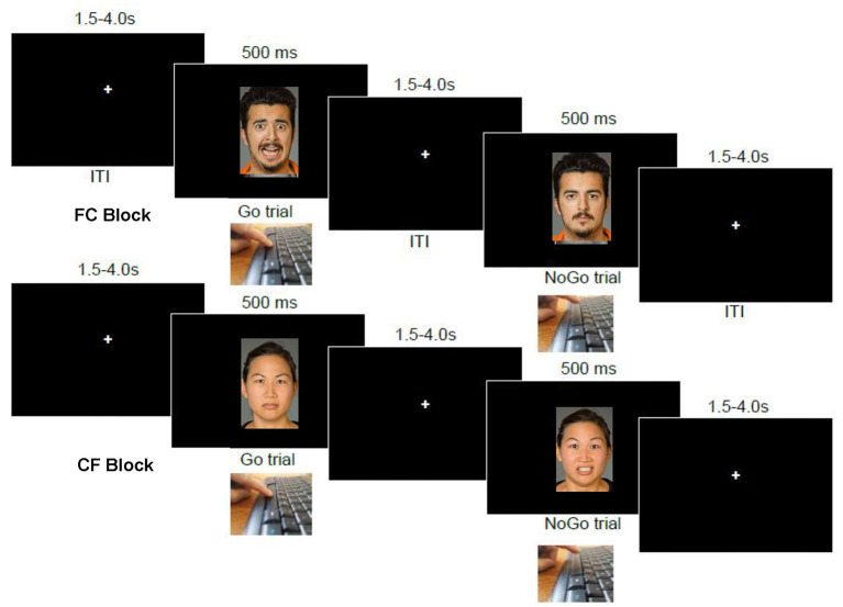 Emotional go-nogo task. At top is a sequence of events in an “FC” block, wherein participants are to respond on the space bar to fearful images but not to calm (expressionless) images. The bottom image series shows the reverse contingency in operation, “CF”, wherein participants are to instead withhold responses to fearful faces, and respond only to calm (expressionless) faces.