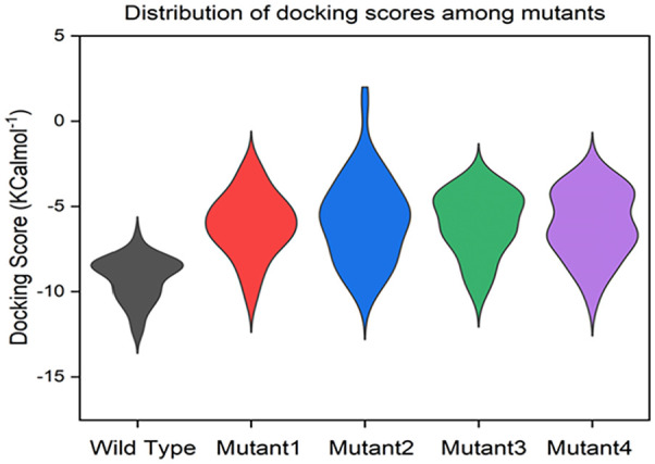 The results of docking the ligands into the active sites of mutants.