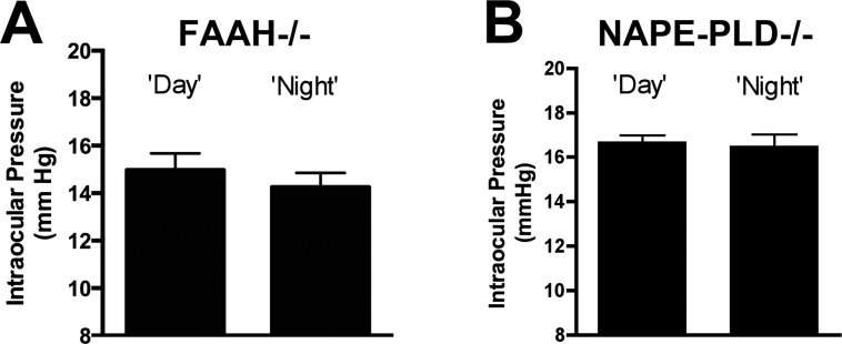 The FAAH and NAPE-PLD knockout mice do not exhibit diurnal variation in intraocular pressure. (A) Intraocular pressure readings in FAAH−/− mice taken during at noon (day) or midnight (night). (B) Diurnal IOP readings for NAPE-PLD−/− mice. NS, P < 0.05, paired t-test.