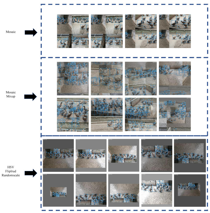 Images after data enhancement. (1) Mosaic: Images enhanced by Mosaic data enhancement. Four images are selected randomly, scaled and cropped randomly, and then stitched together in random order. (2) Mosaic and Mixup: Images after Mosaic and Mixup enhancement. First, any four images are scaled and stitched together. Next, two random samples are mixed proportionally, and the results of the classification are assigned proportionally. (3) HSV, Fliplrud, and Randomscale: Images after HSV, Fliplrud, Randomscale. Images are randomly flipped and scaled with a probability of 50%. At the same time, the hue, saturation, and value of the images are changed.