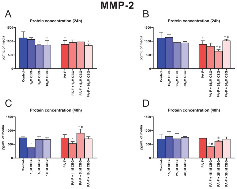 The influence of cannabigerol (CBG), in a concentration-dependent manner, on the concentration of matrix metalloproteinase 2 (MMP-2) in media after 24 h incubation period (A,B) and at the end of the experiment, 48 h (C,D), in hepatocytes exposed to standard media (Control) or palmitate and fructose media (PA-F). The cells were treated with different concentrations of CBG for 48 h. MMP-2 concentrations in media were determined using the ELISA technique. The data are expressed as the mean ± SD of six independent determinations and presented in pg/mL of media (ELISA). Significant differences are indicated in comparison with the Control group (* p < 0.05) and PA-F group (# p < 0.05).