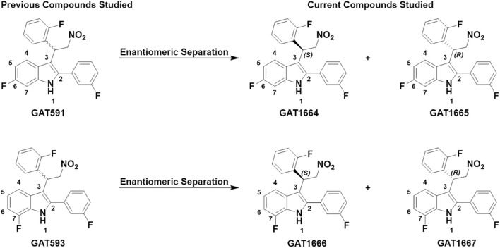 GAT591 previously studied was separated out into its respective enantiomers (GAT1664 and GAT1665) and GAT593 was separated out into its respective enantiomers (GAT1666 and GAT1667). The difference between GAT1664 and GAT1665 vs. GAT1666 and GAT1667 is the position of the fluorine in the indole ring.