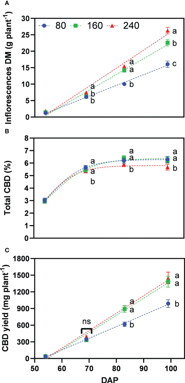 Least square means (±standard error) of (A) inflorescence dry matter (DM), (B) total CBD concentration, and (C) total CBD yield at zero moisture for the fertilizer concentration treatments (80, 160 and 240 mg N L−1) at different harvest dates (Days after planting, DAP). For each harvest date, means with at least one identical letter are not significant different from each other according to Fisher’s LSD test with α=0.05. Values with (ns) are not significantly different from each other according to global F-test. Dash lines are trendlines used only for visual representation. For (B), letters are based on marginal mean comparisons and were repeatedly presented for each DAP.