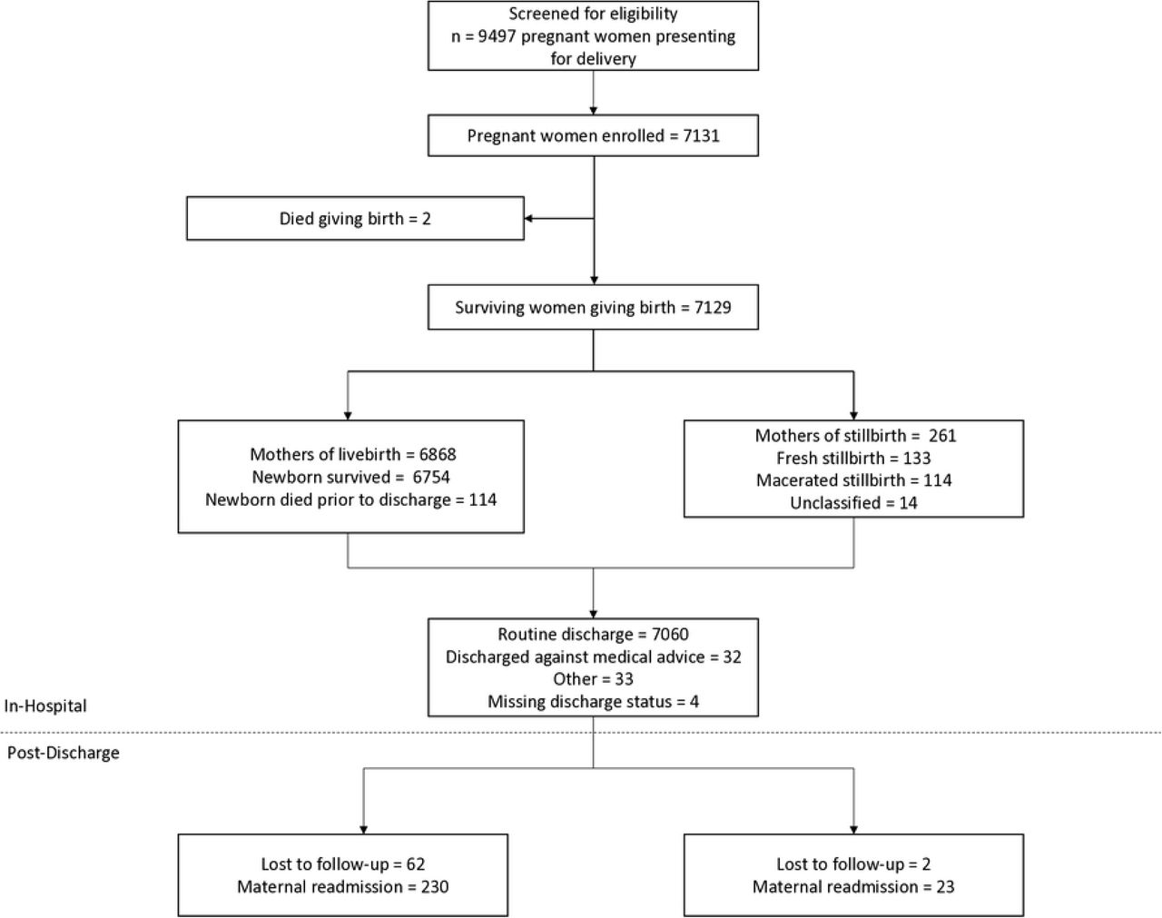 Study enrollment flow diagram.Flow diagram of participant enrollment, pregnancy outcomes, discharge status, and post-discharge follow-up. Discharge status includes all surviving mothers regardless of pregnancy outcome (live birth or stillbirth).
