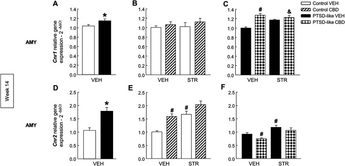 Relative gene expression analyses of cannabinoid receptor 1 (Cnr1) and 2 (Cnr2) in the amygdala (AMY) by real time PCR at week 14. Comparative analysis between control and PTSD-like vehicle (VEH)-treated mice of the relative gene expression of Cnr1 (A) and Cnr2 (D). Effects of CBD (20 mg/kg) and/or STR (10 mg/kg) administration, or its corresponding VEH, on the relative gene expression of Cnr1 (B,C) and Cnr2 (E,F) of control and PTSD-like mice. Columns represent the means and vertical lines ± SEM of 2-∆∆Ct. *, Values from PTSD-like mice that are significantly different from control mice (Student’s t-test, Cnr1: p < 0.05, Cnr2: p < 0.001). #, Values from CBD- or STR-treated mice that are significantly different from VEH-treated mice (Two-way ANOVA, p < 0.05). and, Values from CBD plus STR-treated mice that are significantly different from CBD- and STR-treated mice (Two-way ANOVA, p < 0.05). Mice exposed to the PTSD-like model: N(VEH) = 10, N(CBD) = 9, N(STR) = 9, N(CBD plus STR) = 10; control mice: N(VEH) = 10, N(CBD) = 9, N(STR) = 9, N(CBD plus STR) = 10.