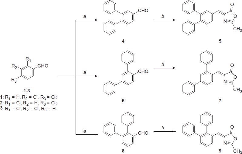 Reagents and conditions: (a) for compound 4: phenylboronic acid, Pd(OAc)2, K3PO4, TBAB, H2O, 125 °C; for compound 6: phenylboronic acid, Pd(OAc)2, PPh3, aq. 2 M Na2CO3, toluene, EtOH, 100 °C; for compound 8: phenylboronic acid, Pd(OAc)2, PPh3, aq. 2 M Na2CO3, toluene, EtOH, 100 °C, then phenylboronic acid, Pd2(dba)3, Cs2CO3, Cy3P 20% toluene, dioxane, 100 °C; (b) N-acetylglycine, Ac2O, CH3COONa, reflux.