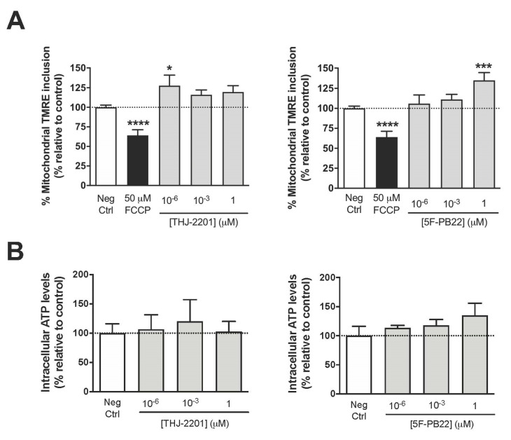 Assessment of mitochondrial parameters following NG108-15 cell exposure to 5F-PB22 and THJ-2201. NG108-15 cells were incubated for 24 h with the SCs at concentrations ranging from 1 pM to 1 μM. (A) Mitochondrial membrane potential, assessed through TMRE accumulation. 50 µM FCCP was used as positive control; (B) Intracellular ATP levels, measured using a luciferin-luciferase-based assay. Each bar represents the mean ± SEM, for at least six independent experiments, performed in duplicate. Results were normalized by the total amount of protein and expressed as the percentage relatively to the negative control (0.1% DMSO). * p < 0.05, *** p < 0.001, **** p < 0.0001, compared to the negative (vehicle-treated) control (one-way ANOVA, followed by Dunnett’s post-test).