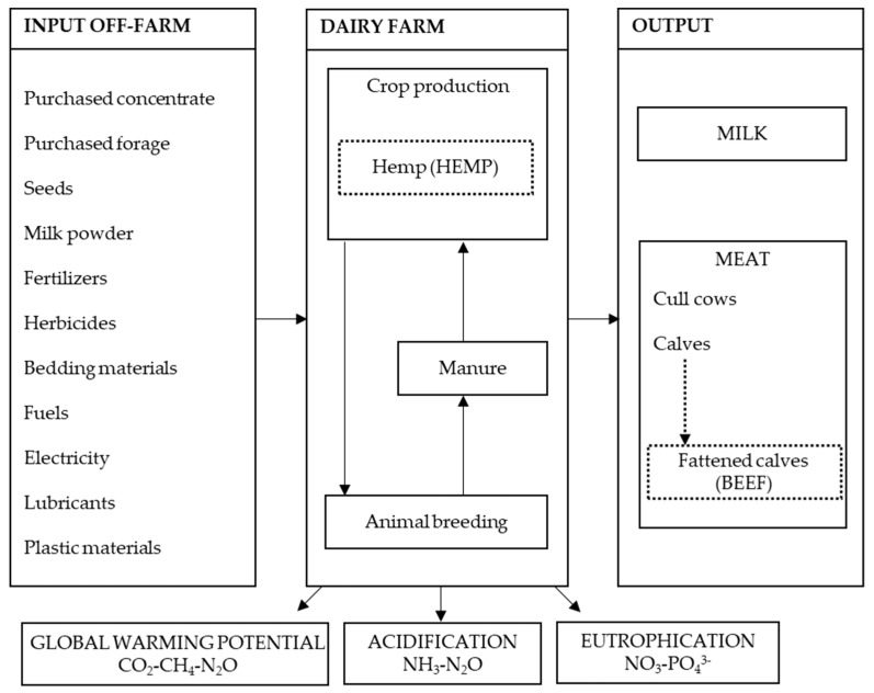 System boundaries diagram of Life Cycle Assessment applied to dairy farms. The dotted lines represent the alternative scenarios considered in the study.