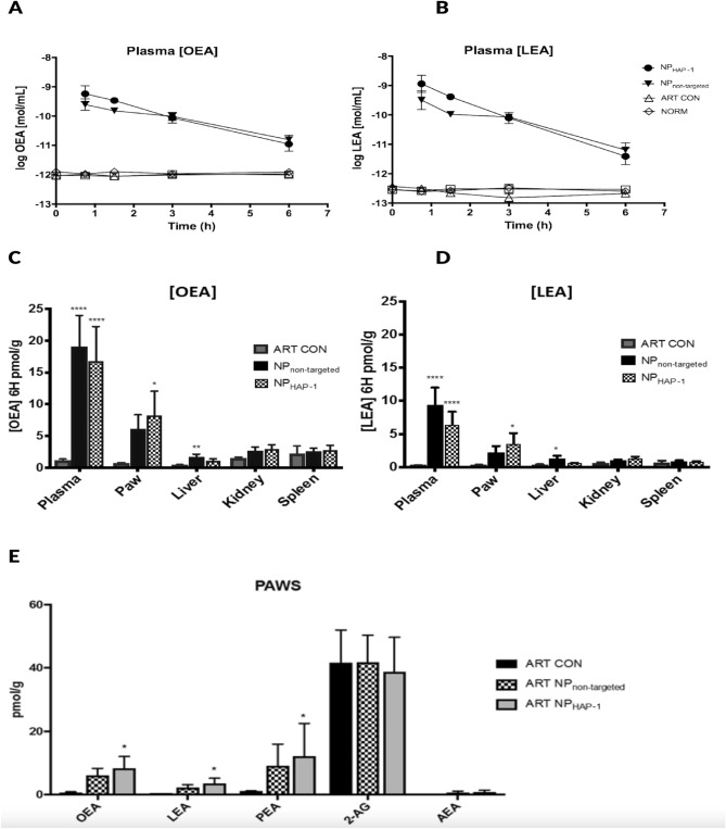 Plasma concentrations and biodistribution of OEA and LEA in normal rats (NORM), arthritic control rats (ART CON) and arthritic rats treated with NPnon-targeted (ART NPnon-targeted) and NPHAP-1 (ART NPHAP-1). NPs were intravenously administered, and blood collected at 0, 45 min, 1.5, 3 and 6 h. After 6 h, organs and paws were harvested and analyzed on MS. Plasma concentration of; (A) OEA and (B) LEA concentration expressed as mol/mL (mean ± S.D., n = 5). Organ and paw concentrations of (C) OEA and (D) LEA expressed in pmol/g. (mean ± S.D., n = 5). *p < 0.05, ****p < 0.0001 vs ART-CON, Uncorrected Fisher’s least significance difference, two-way ANOVA. Significant accumulation to the paw was observed in NPHAP-1 treated rats. (E) Regulation of endogenous endocannabinoid OEA, LEA, PEA, 2-AG and AEA. Data expressed as pmol/g (mean ± S.D., n = 8). (*p < 0.05 vs ART CON, analysis using one-way ANOVA). Significant concentrations of OEA, LEA in ART NPHAP-1 were correlated to increases in PEA.