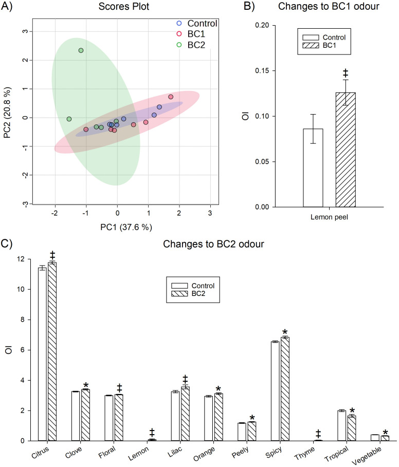 Panel A shows a PCA scores plot with distinct clustering and color-coded ellipses for Control, BC1, and BC2 groups along PC1 and PC2 axes. Panel B presents a bar graph comparing the odour intensity (OI) for Lemon peel between Control and BC1, indicating a significant increase in BC1. Panel C displays a bar graph comparing OI values for various odour descriptors between Control and BC2, with statistical significance marks on citrus, clove, floral, lemon, lilac, orange, peely, spicy, thyme, tropical, and vegetable categories.