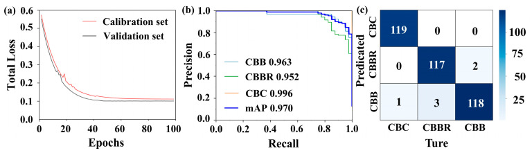 Results of the 1-D CNN CBD classification model: (a) loss curves; (b) PR curves; (c) confusion matrices.