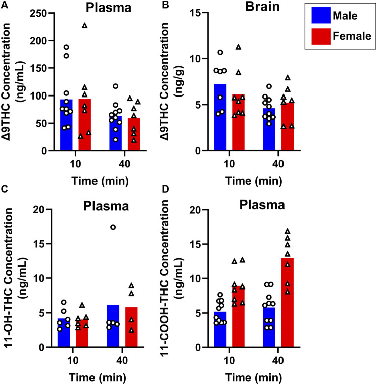 Effects of sex on Δ9THC and its metabolite concentrations after smoke exposure in middle-aged mice (Experiment 2). Collapsed across strains, there was no significant effect of Sex on plasma Δ9THC (A), brain Δ9THC (B), or plasma 11-OH-THC (C) concentrations. Significant sex differences were observed in plasma 11-COOH-THC concentrations, with females achieving greater levels than males (D).
