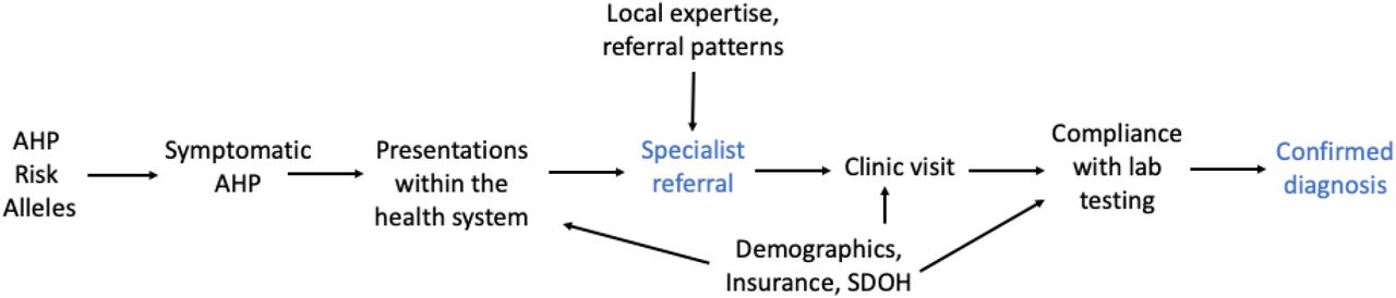 A causal model of the AHP patient journey to a confirmed diagnosis.The probability of a within-system new diagnosis of AHP is influenced by multiple factors, including the number and nature of patient presentations, local expertise of providers, availability of specialists and/or lab testing, and patient’s ability and desire to follow clinical recommendations. We identified two selection “bottlenecks”: the probability that a patient will be identified by a given provider as needing a specialty evaluation for possible AHP, and the probability that a tested patient will be confirmed as a new case (blue font). Each of these bottlenecks were separately modeled, to reduce bias and improve the accuracy of downstream predictions.