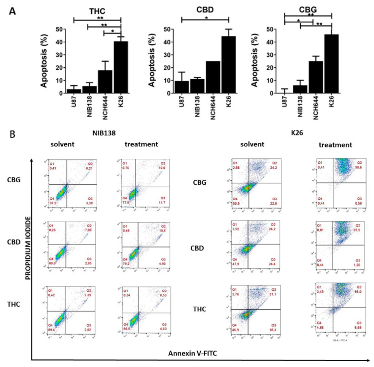 Apoptosis determination of GB and GSC cells by flow cytometry. The cells were treated with IC50 concentrations of CBG, CBD, and THC for 48 h. (A) The summary graphs represent the percentage of cells in early and late apoptosis after cannabinoid treatment (mean ± S.E.M.). (B) Cells were labelled with Annexin V-FITC (x-axis) and propidium iodide (PI) (y-axis) and analysed by flow cytometry as described in more detail in Material and Methods (Section 2.10). The cell distributions based on cytometry analysis are presented for the GB cells NIB138 (left) and GSC line K26 (right) after CBG, CBD, and THC treatment. Additionally, such data for the established GB cells U87 and NCH644 are presented in Figure S2. Dot blots represent the results from one representative biological repeat. Error bars represent mean ± S.E.M. Statistical analyses were performed using GraphPad Prism software, using one-way ANOVA (* p < 0.05, ** p < 0.01).