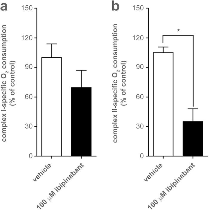Ibipinabant-induced inhibition of respiratory capacity in mitoplasts.C2C12 mitoplasts were obtained by differential centrifugation of (sub)cellular fractions. Maximal respiratory capacity was determined after acute exposure to 100 μM ibipinabant either by stimulation of (A) CI- or (B) CII-driven respiration. Effects of VDAC were excluded by the addition of 250 μM DIDS, resulting in complete inhibition of VDAC-dependent respiration. The data presented are expressed as percentage of vehicle-treated control (pmolO2/s/mg protein): 14 ± 2 for CI, 25 ± 1 for CII. Statistical analysis: Student’s t-test was applied to compare values to vehicle control *p < 0.05. Mean ± SEM; n = 3 independent experiments.