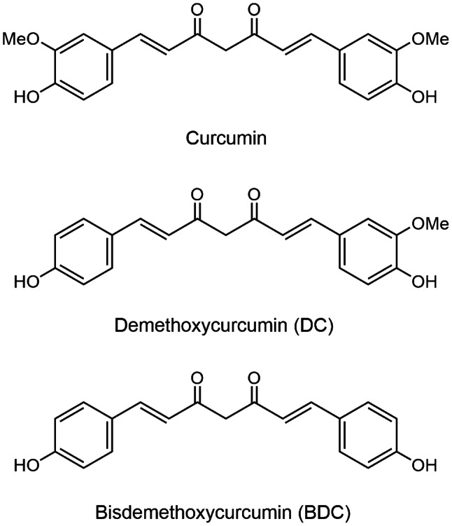 Curcumin (diferuloylmethane), demethoxycurcumin, and bisdemethoxycurcumin