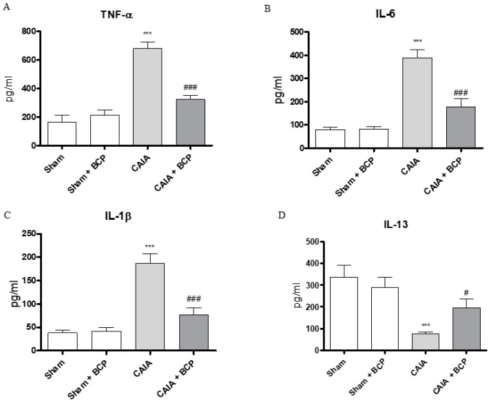 The graphs represent the levels of TNF-α (A), IL-6 (B), IL-1β (C), and IL-13 (D) in serum collected from each group at day 15. Levels of cytokines were studied by enzyme linked immunosorbent assay (ELISA). Values shown are expressed as the means ± SD. *** p < 0.0001 vs. Sham and Sham + BCP; ### p < 0.0001 and # p < 0.05 vs. CAIA.
