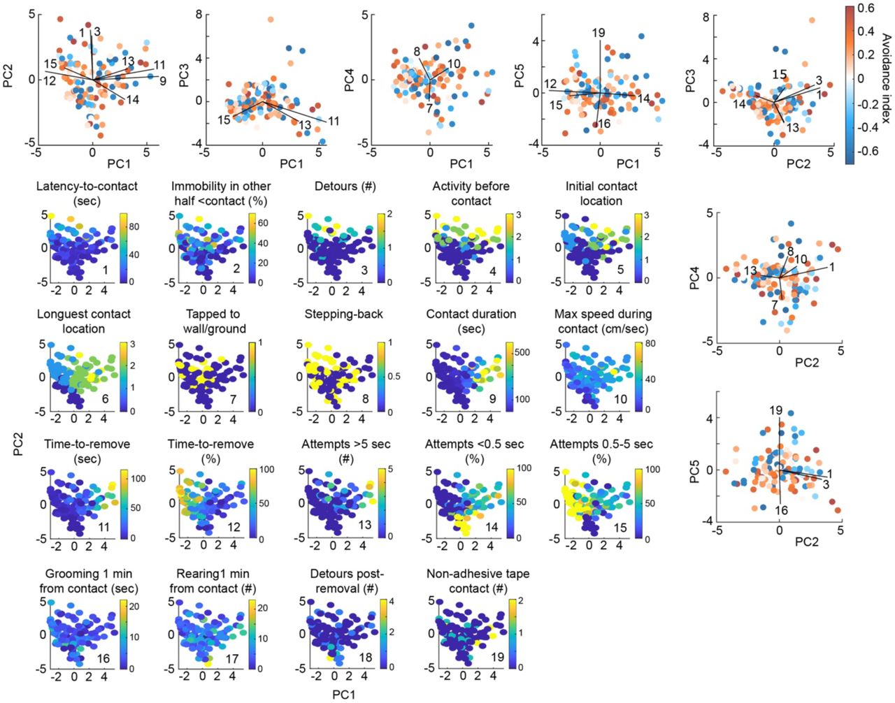 Impact of sticking features at familiarization on retrieval performance (related to the Supplementary Information)Binary comparison of mice according to avoidance index or number of detours estimated at retrieval for all mice (n=118, a) or in the subset of mice with contact duration ≤30 seconds (n=79 mice, b). Time spent grooming 1 min from contact (p<0.001) or 1 min post-removal for short contact (p<0.001) were significantly different (independent t-tests). No stepping back at contact and low surprise levels were associated to low numbers of detours (Chi-square tests: χ2=4.68, p=0.030 and χ2=10.8, p=0.013, respectively).