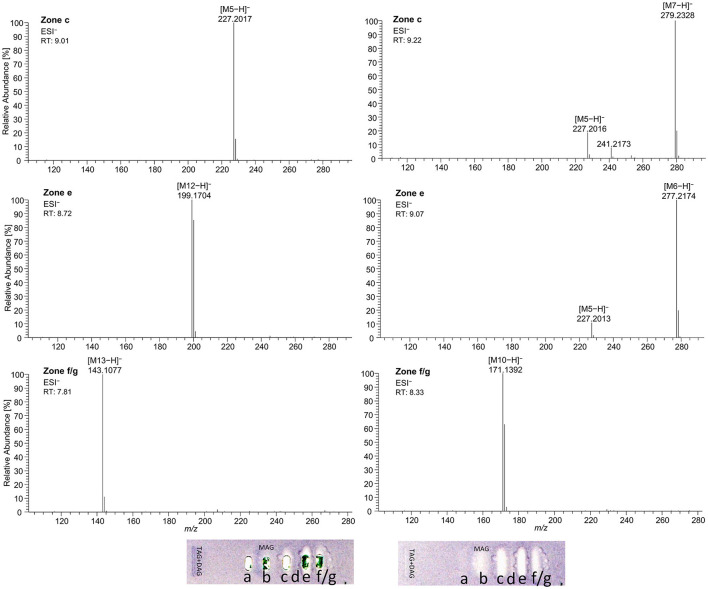 High-resolution mass spectra and corresponding ion species in the negative ionization mode after HPTLC–Vis–bioassay–heart cut–RP-HPLC–DAD–HESI-HRMS/MS analysis on HPTLC RP-18 W plates of all identified fatty acids of the standard reference track after the Bacillus subtilis bioassay, which was developed with acetonitrile/water 4:1 (V/V, with molecular sieve) up to 50 mm; M5 = C14:0, M6 = C18:3, M7 = C18:2, M10 = C10:0, M12 = C12:0, and M13 = C8:0.