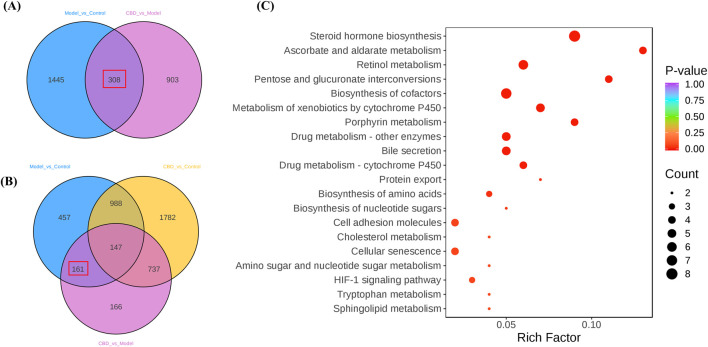 The differential gene screening results of the target genome. (A, B) are Venn plots comparing each group, and (C) is a bubble plot of KEGG enrichment analysis results for the target gene set).