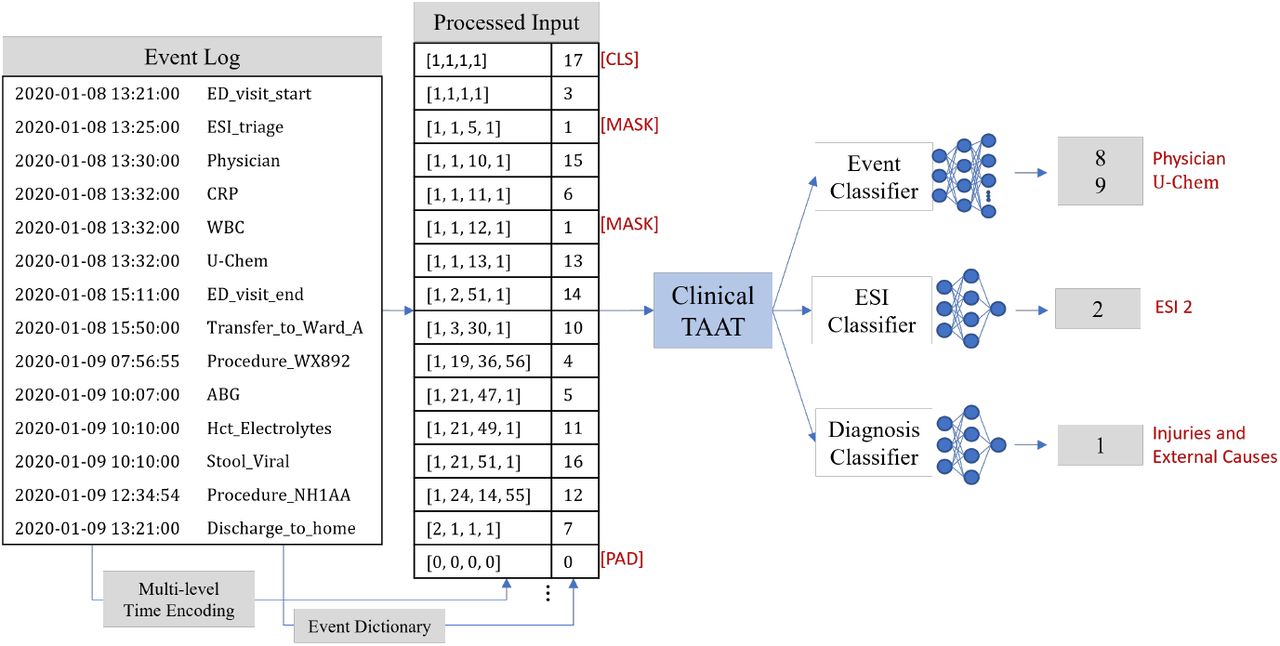 Data preprocessing pipeline (representative synthetic encounter). Timing of events (left) were tokenized and combined with relative timing information, created via C-TAAT’s multi-level time-encoding (center). Processed sequences served as input to ClinicalTAAT (right) for masked event pretraining and fine-tuned ESI or diagnosis classification.