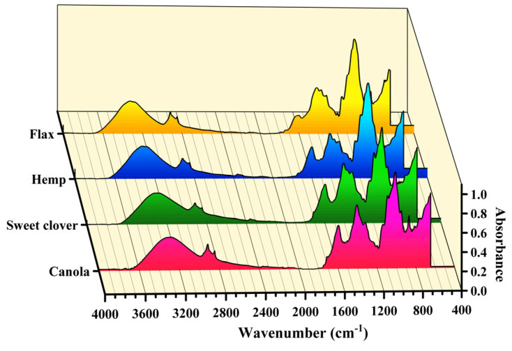 The average FTIR spectrum of the studied fibers.