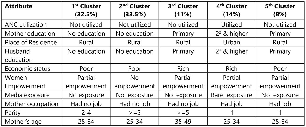 Clusters of mothers based on their similar characteristics